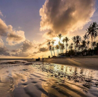 Praia das Cardosas