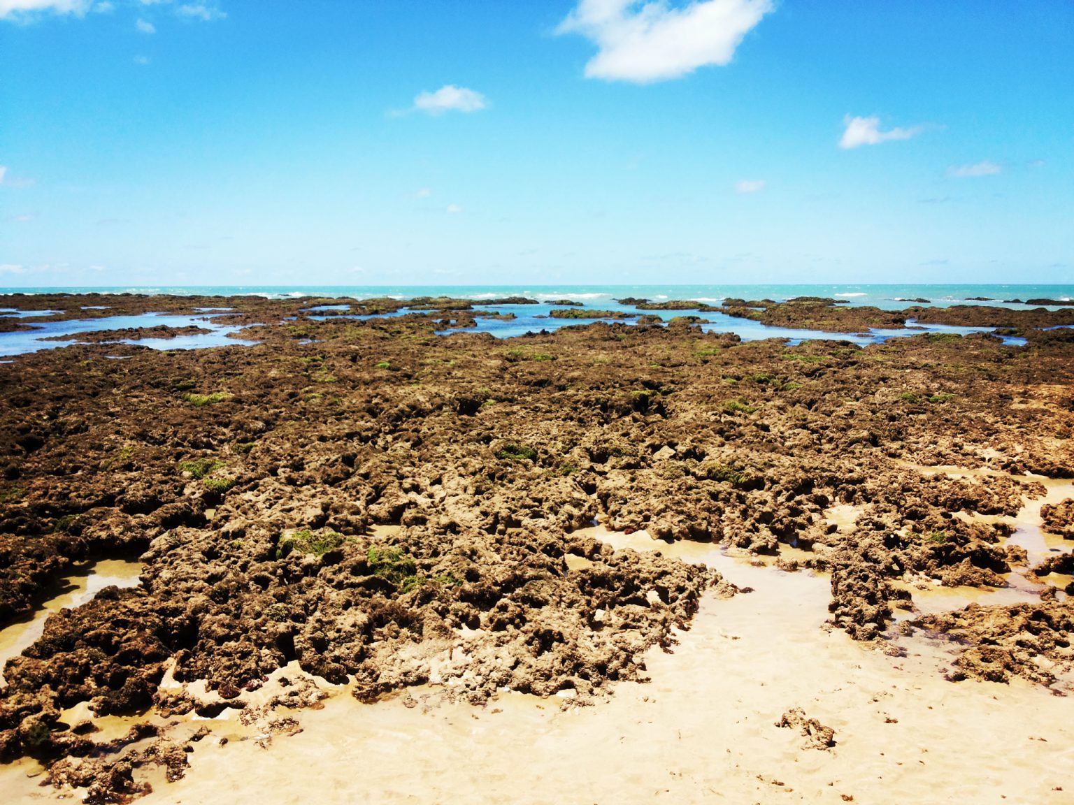 Foto_Acervo Parque Estadual Marinho de Areia Vermelha