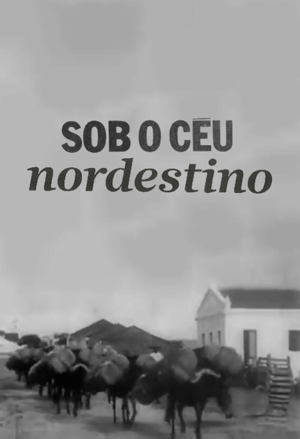 Sob o céu nordestino