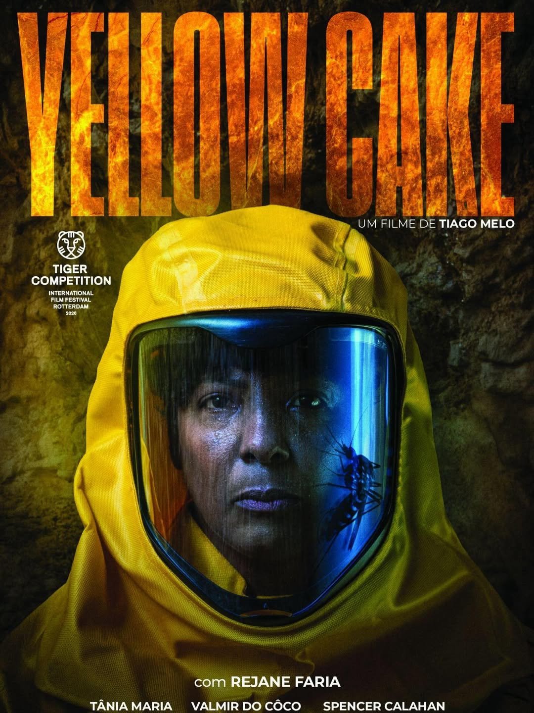 YELLOW CAKE