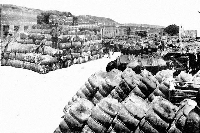 Prensa de algodão foto 1