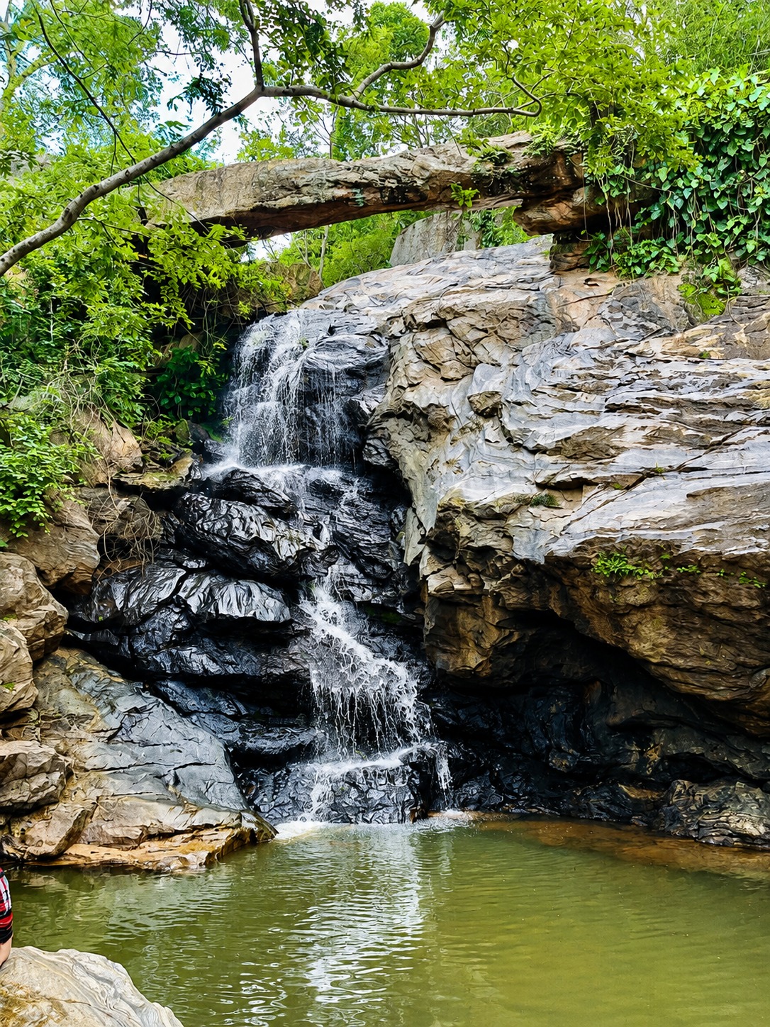 cachoeira ponte de pedra